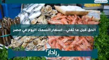 الحق قبل ما تغلى.. أسعار السمك اليوم في مصر